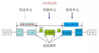 暴涨暴跌之后, 5g明星股 中际旭创的确定性与风险点